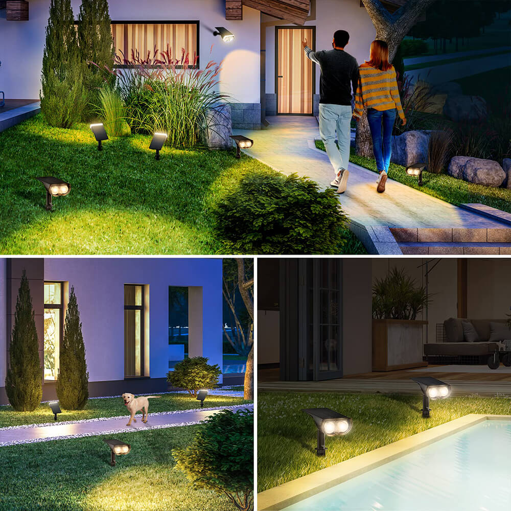 Briar - 2 in 1 Solar Spotlight(2 Packs)