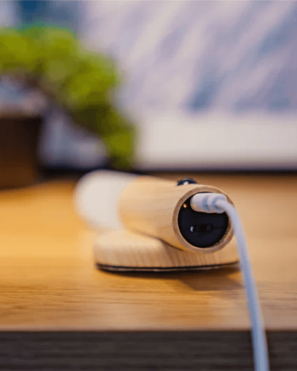 Drift Lily - Rechargeable Wooden Sconce