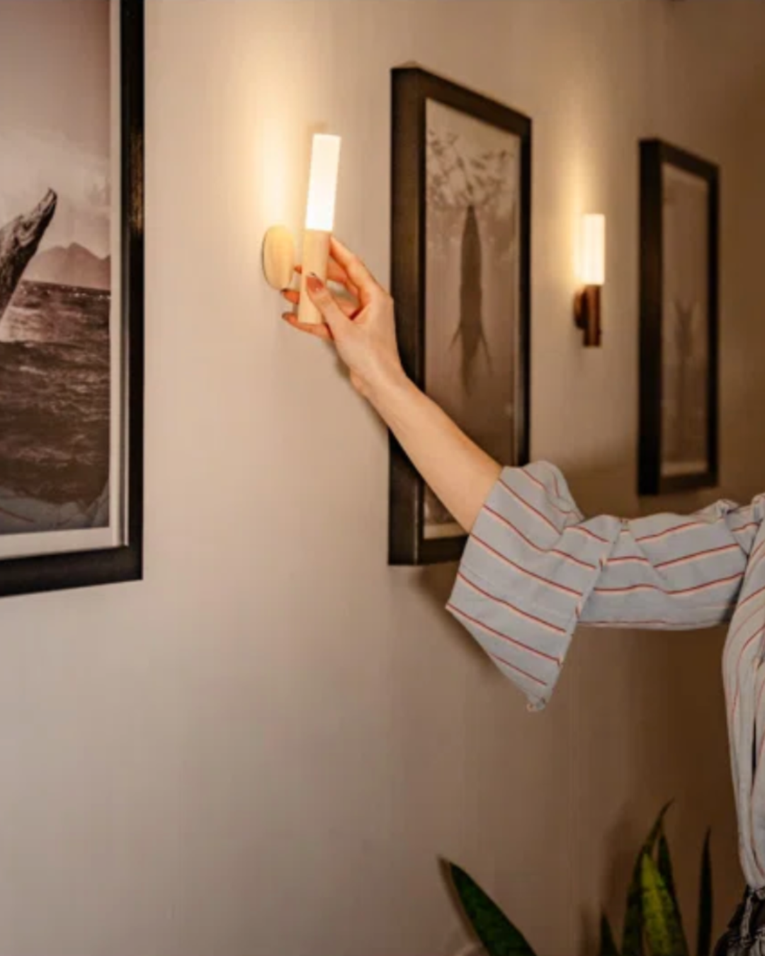 Drift Lily - Rechargeable Wooden Sconce