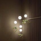 Drift Vale - Planter Light Pendant Chandelier