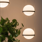 Drift Vale - Planter Light Pendant Chandelier