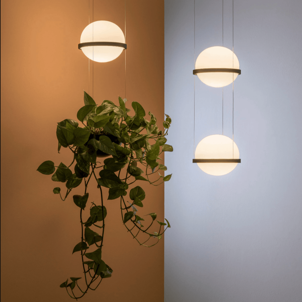 Drift Vale - Planter Light Pendant Chandelier