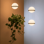 Drift Vale - Planter Light Pendant Chandelier