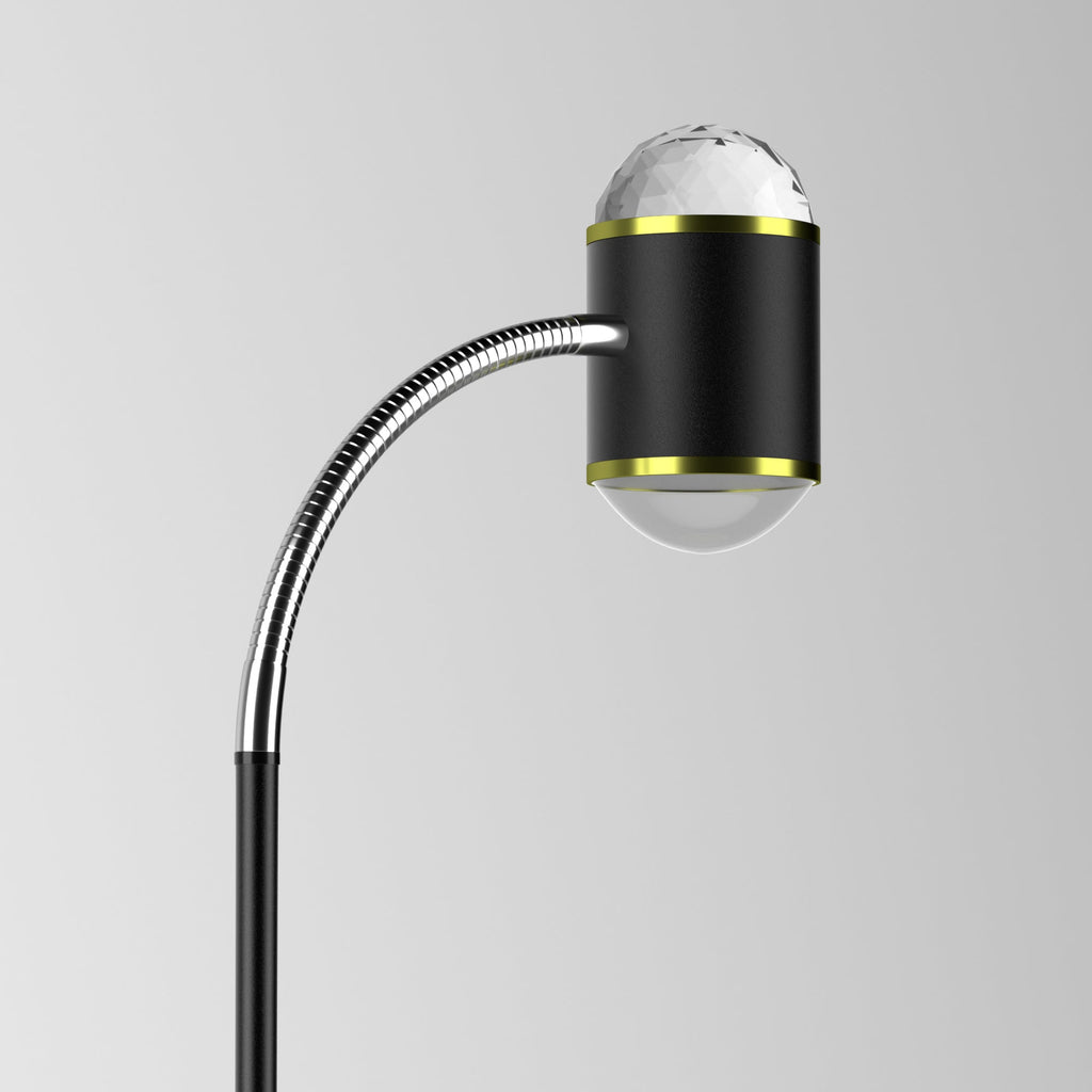 Rowan - Dual Head Projection Floor Lamp