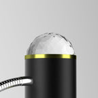 Rowan - Dual Head Projection Floor Lamp