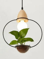 Juniper Seabird - Pot Pendant Planter Light
