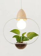 Juniper Seabird - Pot Pendant Planter Light