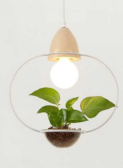 Juniper Seabird - Pot Pendant Planter Light