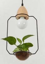 Juniper Seabird - Pot Pendant Planter Light