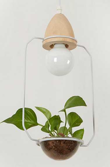 Juniper Seabird - Pot Pendant Planter Light