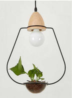 Juniper Seabird - Pot Pendant Planter Light
