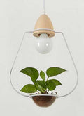 Juniper Seabird - Pot Pendant Planter Light