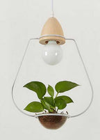 Juniper Seabird - Pot Pendant Planter Light