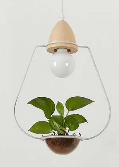 Juniper Seabird - Pot Pendant Planter Light