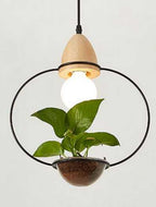 Juniper Seabird - Pot Pendant Planter Light