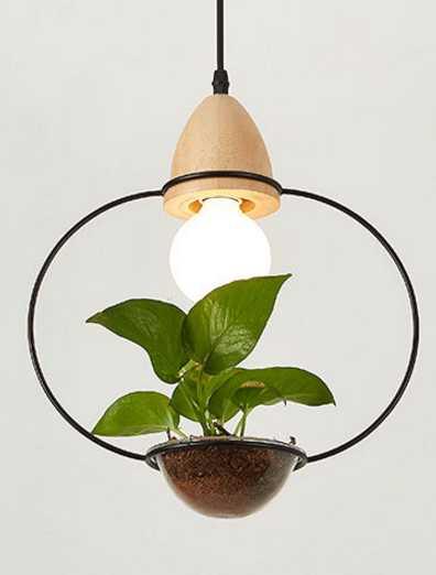 Juniper Seabird - Pot Pendant Planter Light