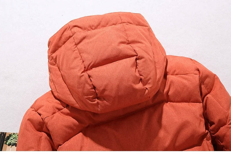Rust-colored duck down parka with a matte nylon shell, featuring a quilted adjustable hood and structured, insulated fit.