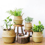Prairie Cliff - Foldable Woven Bamboo Basket