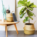 Prairie Cliff - Foldable Woven Bamboo Basket