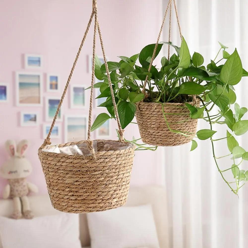 Drift Glow - DIY Plant Basket