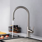 Twilight Gallery - Silver Kitchen Faucet