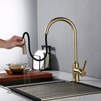 Bright Fern - Gold Kitchen Faucet With Sprayer