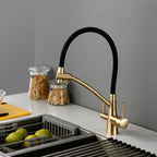 Amber Summit - Kitchen Sink Faucet