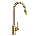 Bright Fern - Gold Kitchen Faucet With Sprayer