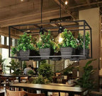 Dusk Ridge - Iron Garden Planter Light Chandelier