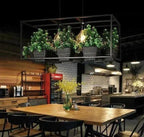 Dusk Ridge - Iron Garden Planter Light Chandelier