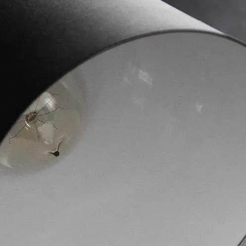 Arctic Opal - Nordic Wall Lamp