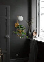 Birch Harbour Compass - Nordic Planter Light Sconce