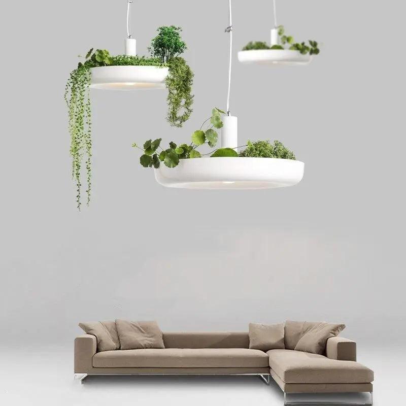 Summer Crescent Spruce - Nordic Pendant Planter Light