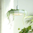 Summer Crescent Spruce - Nordic Pendant Planter Light