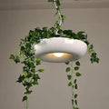 Summer Crescent Spruce - Nordic Pendant Planter Light