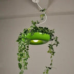 Summer Crescent Spruce - Nordic Pendant Planter Light