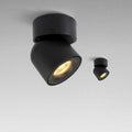 Rainy Halo - Nordic Mounted Ceiling Light