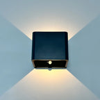 Prairie Seabird - Modern Battery Operated Wall Sconces