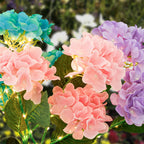Vanta - 2Pcs Solar Hydrangea Pathway Light