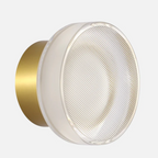 Silver Field - Dome Wall / Ceiling Light