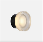 Silver Field - Dome Wall / Ceiling Light