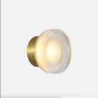 Silver Field - Dome Wall / Ceiling Light
