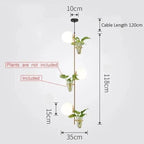 Sable Oasis - Pendant Planter Light