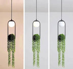 Amber Gallery - Sky Garden Planter Light
