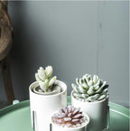 Drift Tide - Ceramic Flower Planters with Modern Stand