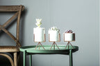 Drift Tide - Ceramic Flower Planters with Modern Stand