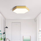 Willow Moor - Hex Ceiling Light Fixture