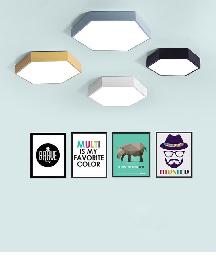 Willow Moor - Hex Ceiling Light Fixture
