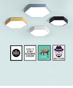 Willow Moor - Hex Ceiling Light Fixture
