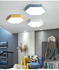 Willow Moor - Hex Ceiling Light Fixture